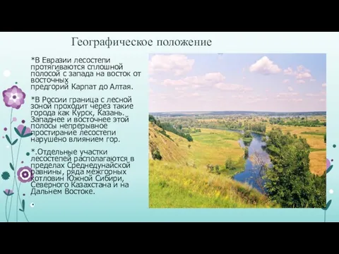 Географическое положение *В Евразии лесостепи протягиваются сплошной полосой с запада