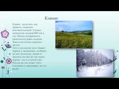 Климат Климат лесостепи, как правило, умеренно-континентальный. Годовое количество осадков 600