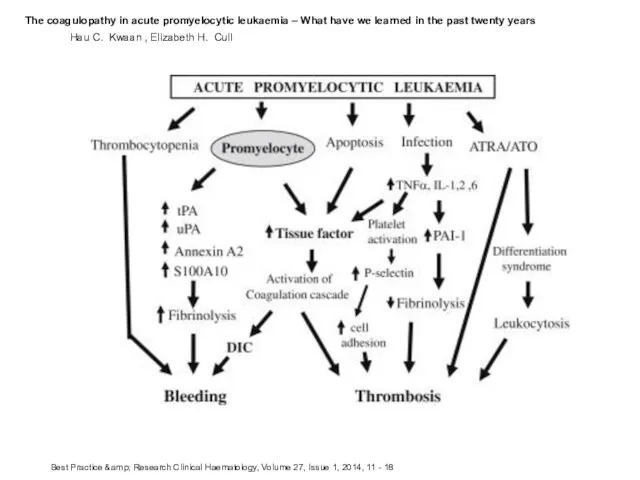 Hau C. Kwaan , Elizabeth H. Cull The coagulopathy in acute promyelocytic leukaemia