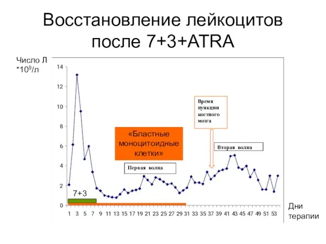 Восстановление лейкоцитов после 7+3+ATRA Время пункции костного мозга Вторая волна Первая волна 7+3