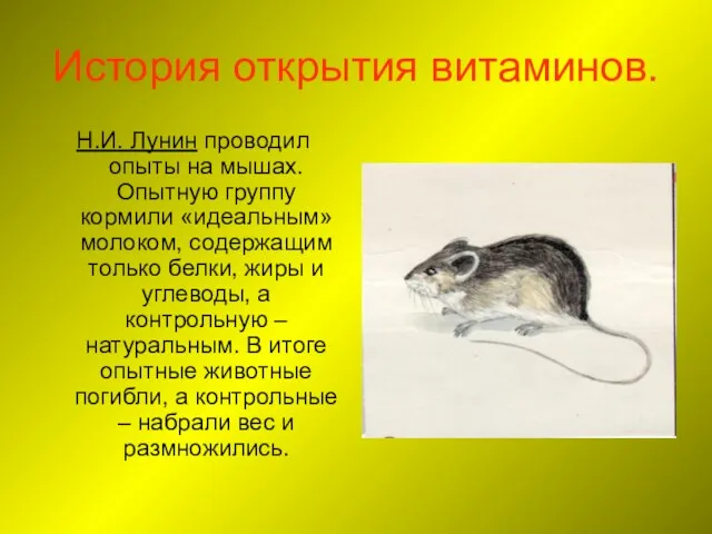 История открытия витаминов. Н.И. Лунин проводил опыты на мышах. Опытную группу кормили «идеальным»