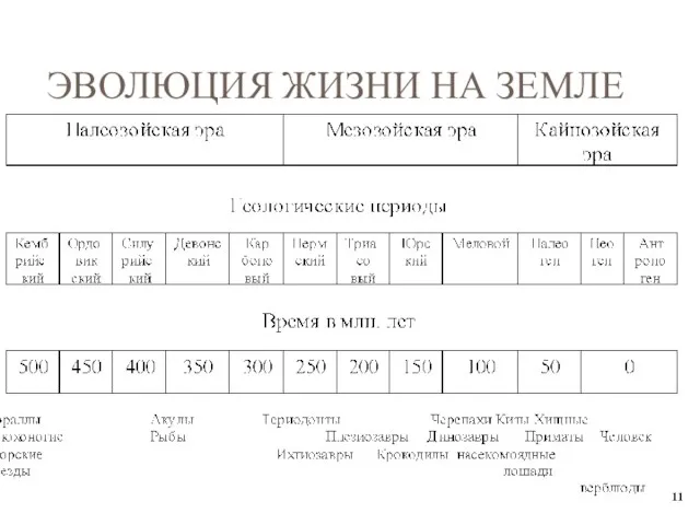 ЭВОЛЮЦИЯ ЖИЗНИ НА ЗЕМЛЕ