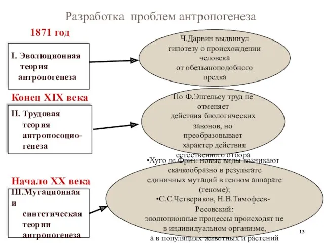 Ч.Дарвин выдвинул гипотезу о происхождении человека от обезьяноподобного предка I.