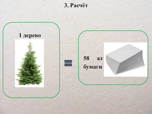 3. Расчёт 58 кг бумаги 1 дерево