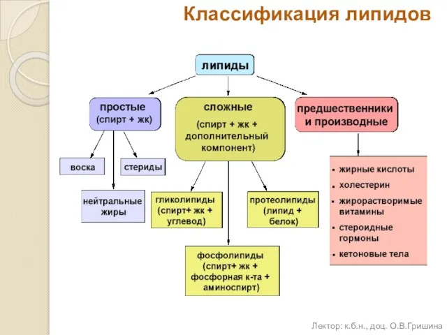 Классификация липидов Лектор: к.б.н., доц. О.В.Гришина