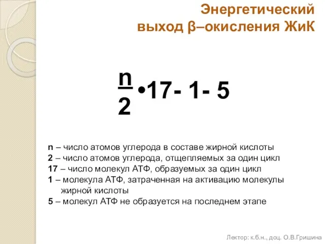 Энергетический выход β–окисления ЖиК n – число атомов углерода в