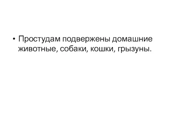 Простудам подвержены домашние животные, собаки, кошки, грызуны.