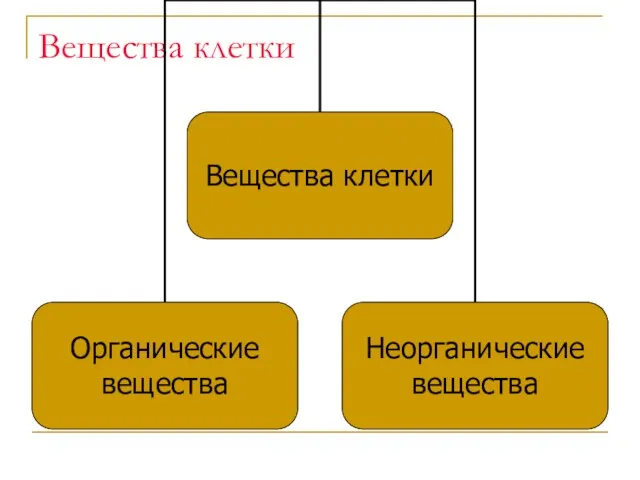 Вещества клетки