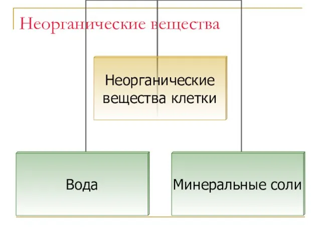 Неорганические вещества