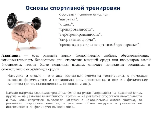 Основы спортивной тренировки К основным понятиям относятся: "нагрузка", "отдых", "тренированность", "перетренированность", "спортивная форма",