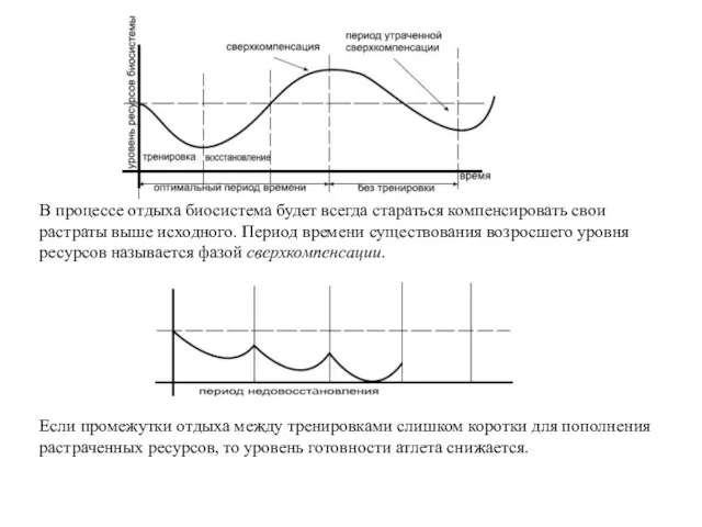 В процессе отдыха биосистема будет всегда стараться компенсировать свои растраты