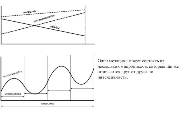 Один мезоцикл может состоять из нескольких микроциклов, которые так же отличаются друг от друга по интенсивности.