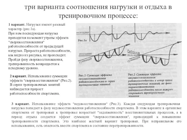 три варианта соотношения нагрузки и отдыха в тренировочном процессе: 1 вариант. Нагрузки имеют