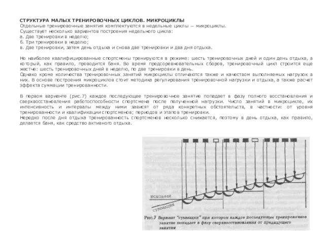 СТРУКТУРА МАЛЫХ ТРЕНИРОВОЧНЫХ ЦИКЛОВ. МИКРОЦИКЛЫ Отдельные тренировочные занятия комплектуются в