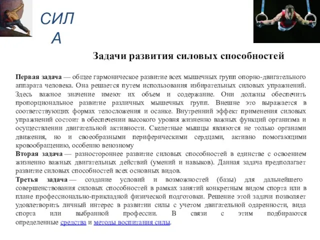 Первая задача — общее гармоническое развитие всех мышечных групп опорно-двигательного