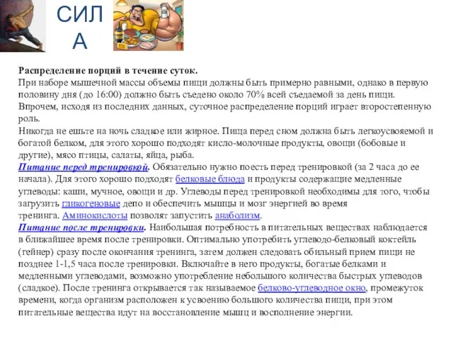 СИЛА Распределение порций в течение суток. При наборе мышечной массы объемы пищи должны