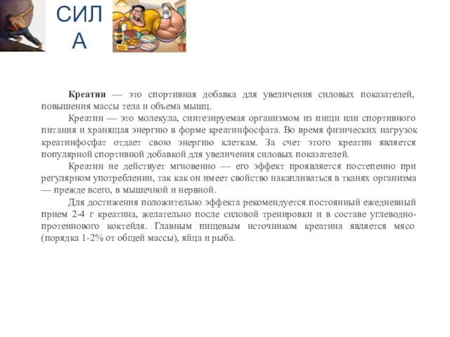 СИЛА Креатин — это спортивная добавка для увеличения силовых показателей, повышения массы тела