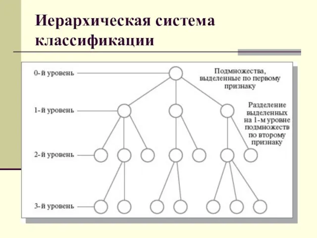 Иерархическая система классификации