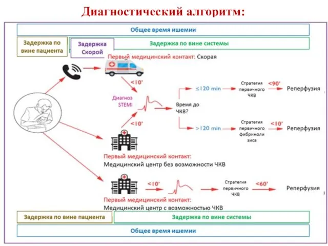 Диагностический алгоритм: