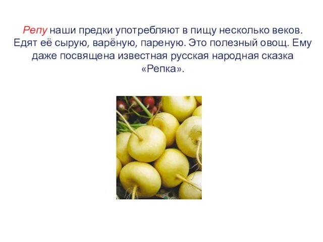 Репу наши предки употребляют в пищу несколько веков. Едят её