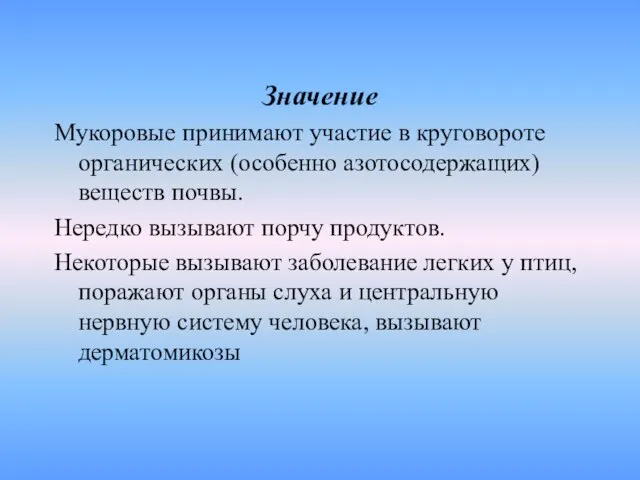 Значение Мукоровые принимают участие в круговороте органических (особенно азотосодержащих) веществ