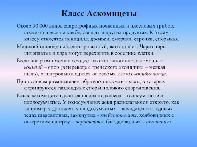 Класс Аскомицеты Около 30 000 видов сапротрофных почвенных и плесневых