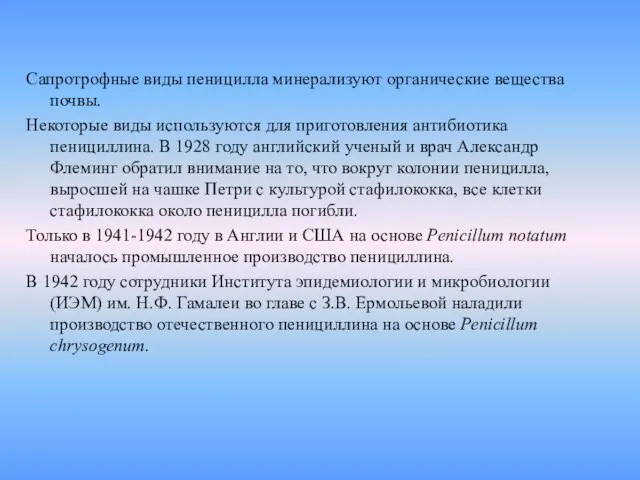 Сапротрофные виды пеницилла минерализуют органические вещества почвы. Некоторые виды используются