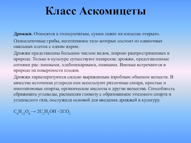 Класс Аскомицеты Дрожжи. Относятся к голосумчатым, сумки лежат на мицелие