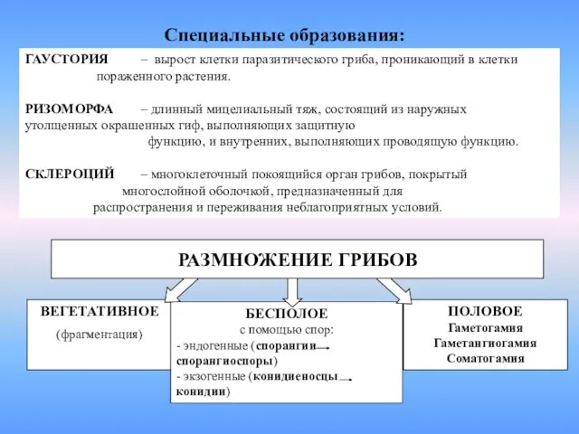 ГАУСТОРИЯ – вырост клетки паразитического гриба, проникающий в клетки пораженного