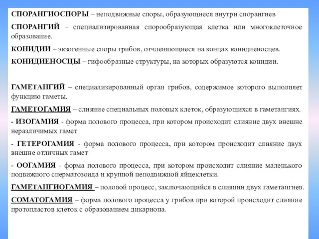 СПОРАНГИОСПОРЫ – неподвижные споры, образующиеся внутри спорангиев СПОРАНГИЙ – специализированная