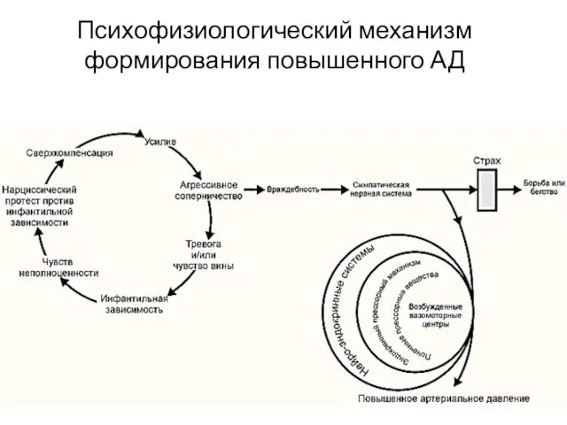 Психофизиологический механизм формирования повышенного АД