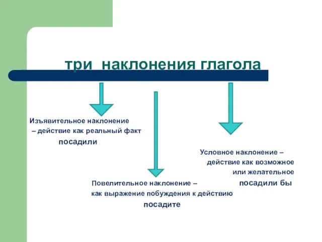 Изъявительное наклонение – действие как реальный факт посадили Условное наклонение