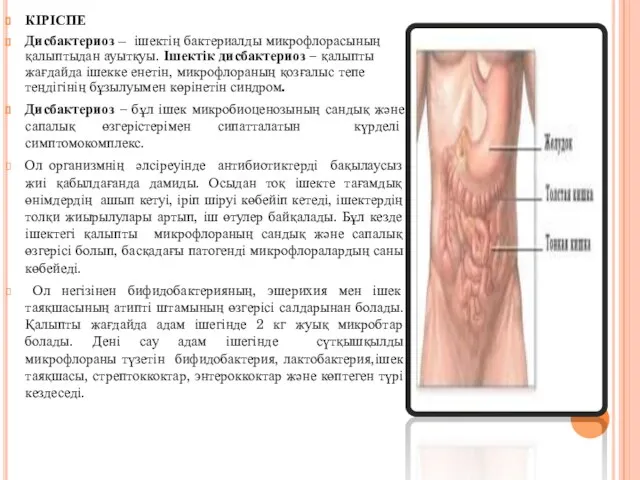 КІРІСПЕ Дисбактериоз – ішектің бактериалды микрофлорасының қалыптыдан ауытқуы. Ішектік дисбактериоз