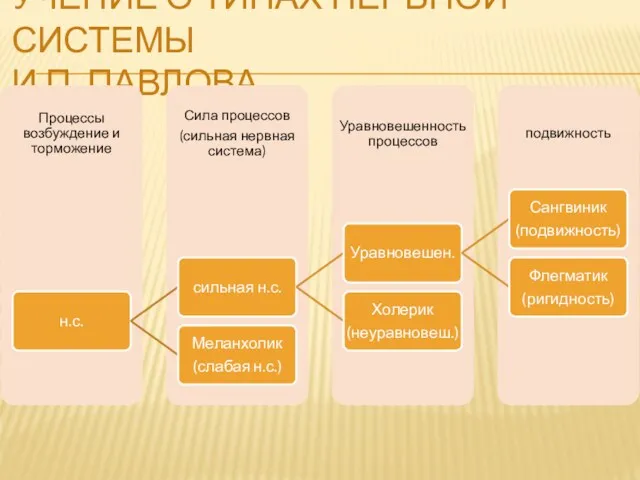 УЧЕНИЕ О ТИПАХ НЕРВНОЙ СИСТЕМЫ И.П. ПАВЛОВА