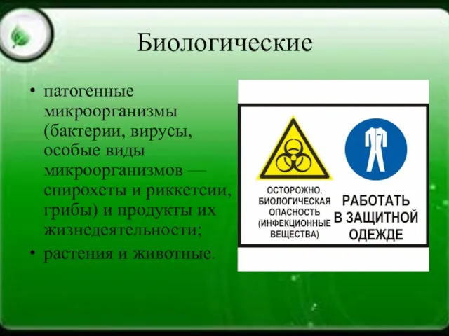 Биологические патогенные микроорганизмы (бактерии, вирусы, особые виды микроорганизмов — спирохеты