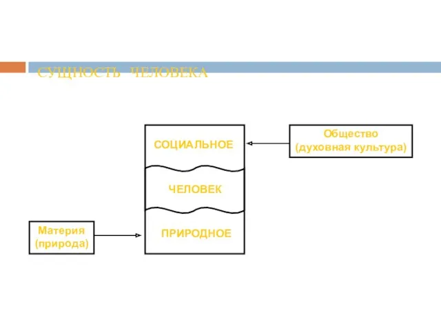 СУЩНОСТЬ ЧЕЛОВЕКА Общество (духовная культура) Материя (природа)
