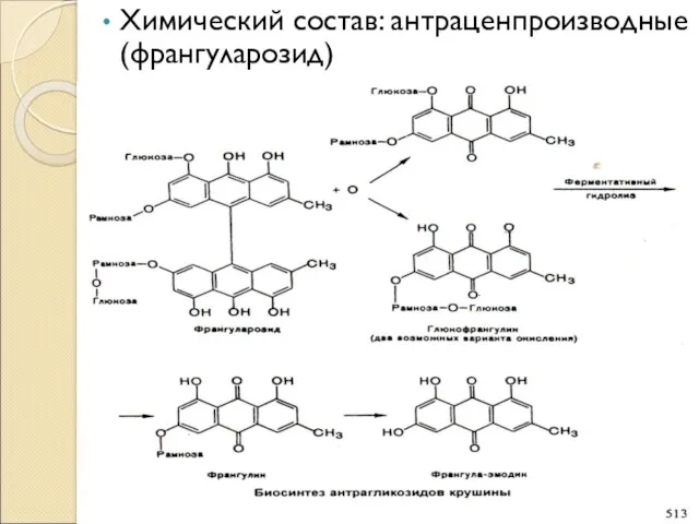 Химический состав: антраценпроизводные (франгуларозид)