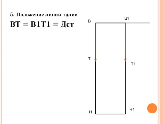 5. Положение линии талии ВТ = В1Т1 = Дст В Н В1 Н1 Т Т1