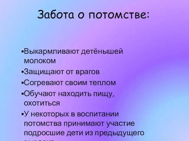 Забота о потомстве: Выкармливают детёнышей молоком Защищают от врагов Согревают