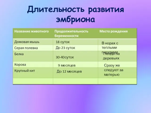 Длительность развития эмбриона 18 суток До 23 суток 30-40суток 9