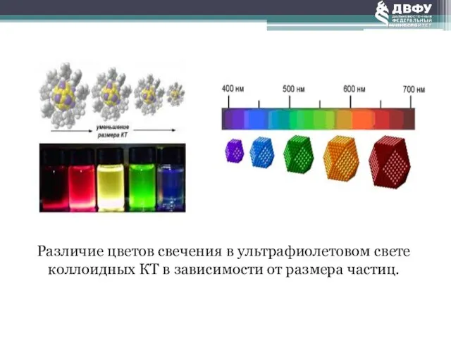 Различие цветов свечения в ультрафиолетовом свете коллоидных КТ в зависимости от размера частиц.