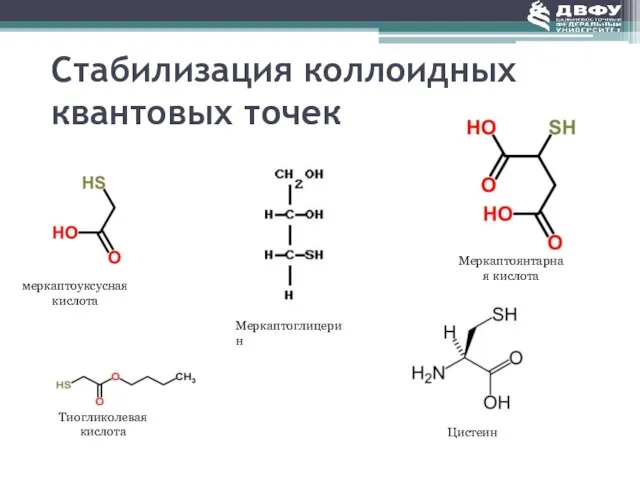 Стабилизация коллоидных квантовых точек меркаптоуксусная кислота Меркаптоглицерин Меркаптоянтарная кислота Тиогликолевая кислота Цистеин