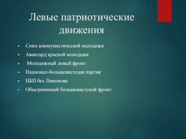 Левые патриотические движения Союз коммунистической молодежи Авангард красной молодежи Молодежный