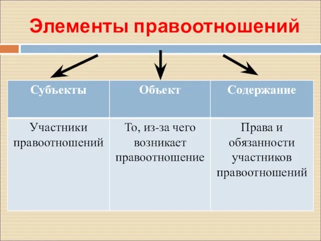 Элементы правоотношений