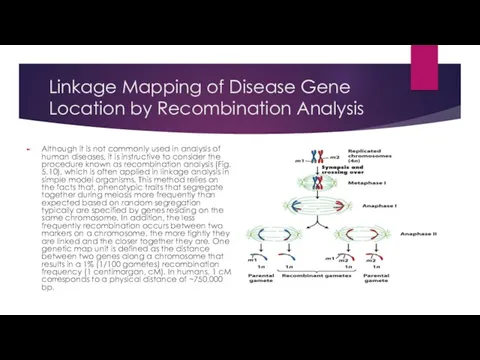 Linkage Mapping of Disease Gene Location by Recombination Analysis Although