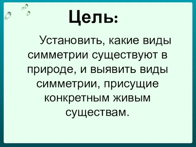 Цель: Установить, какие виды симметрии существуют в природе, и выявить виды симметрии, присущие конкретным живым существам.