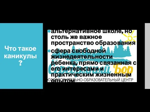 Что такое каникулы? альтернативное школе, но столь же важное пространство