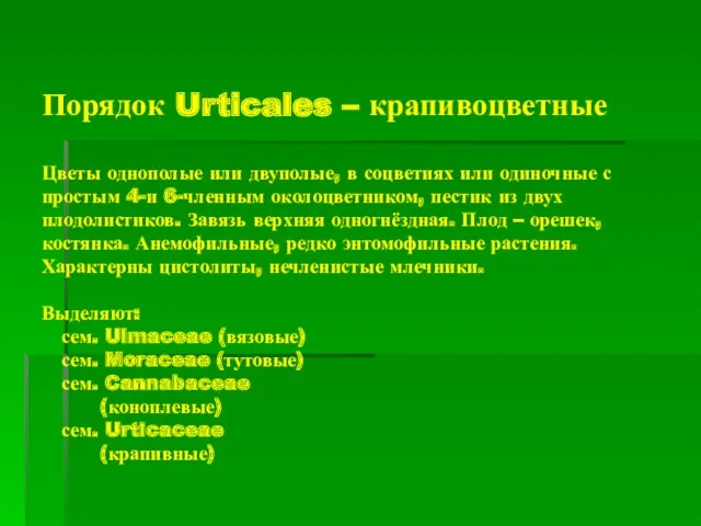 Порядок Urticales – крапивоцветные Цветы однополые или двуполые, в соцветиях или одиночные с