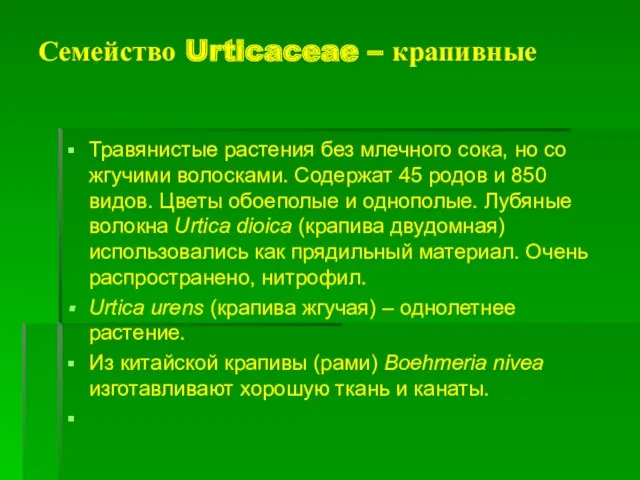 Семейство Urticaceae – крапивные Травянистые растения без млечного сока, но со жгучими волосками.