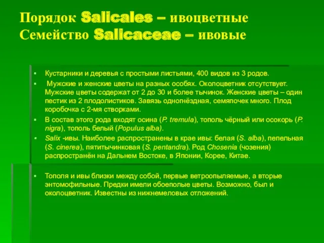 Порядок Salicales – ивоцветные Семейство Salicaceae – ивовые Кустарники и деревья с простыми